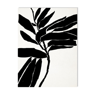Illustration botanique en noir, 50x70