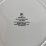 Assiettes en porcelaine anglaise