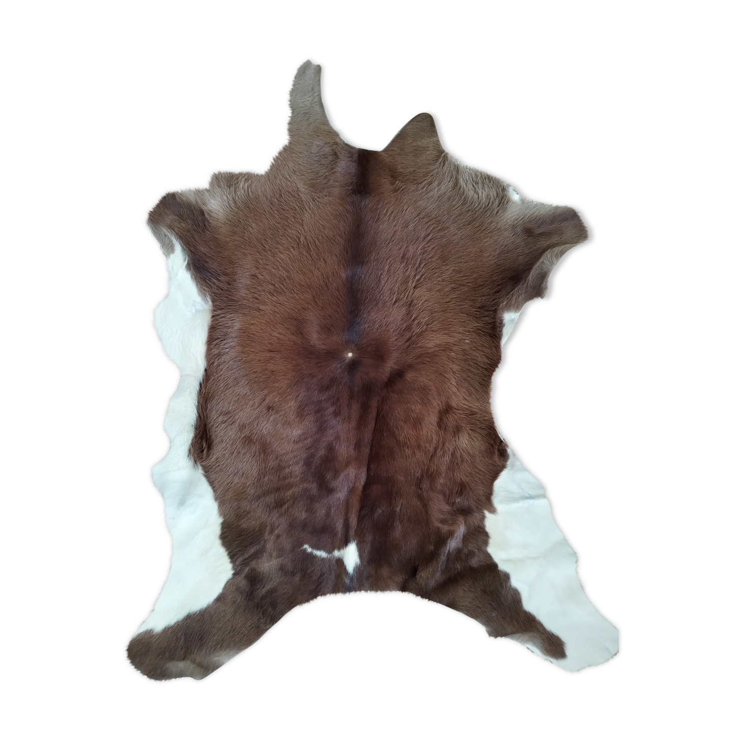 Cow skin