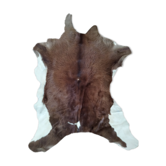Cow skin