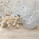 Molded glass candy maker