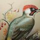 Ornithological watercolour painting signed M Shermorne kingfisher.