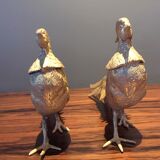 Pair of golden pheasants