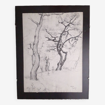 Dessin à l'encre 1946 arbres en hiver