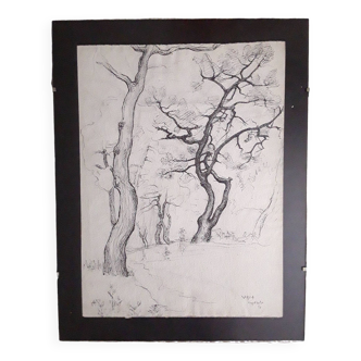 Ink drawing 1946 trees in winter