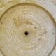 Pair of medicis vases in old reconstituted stone 1950s