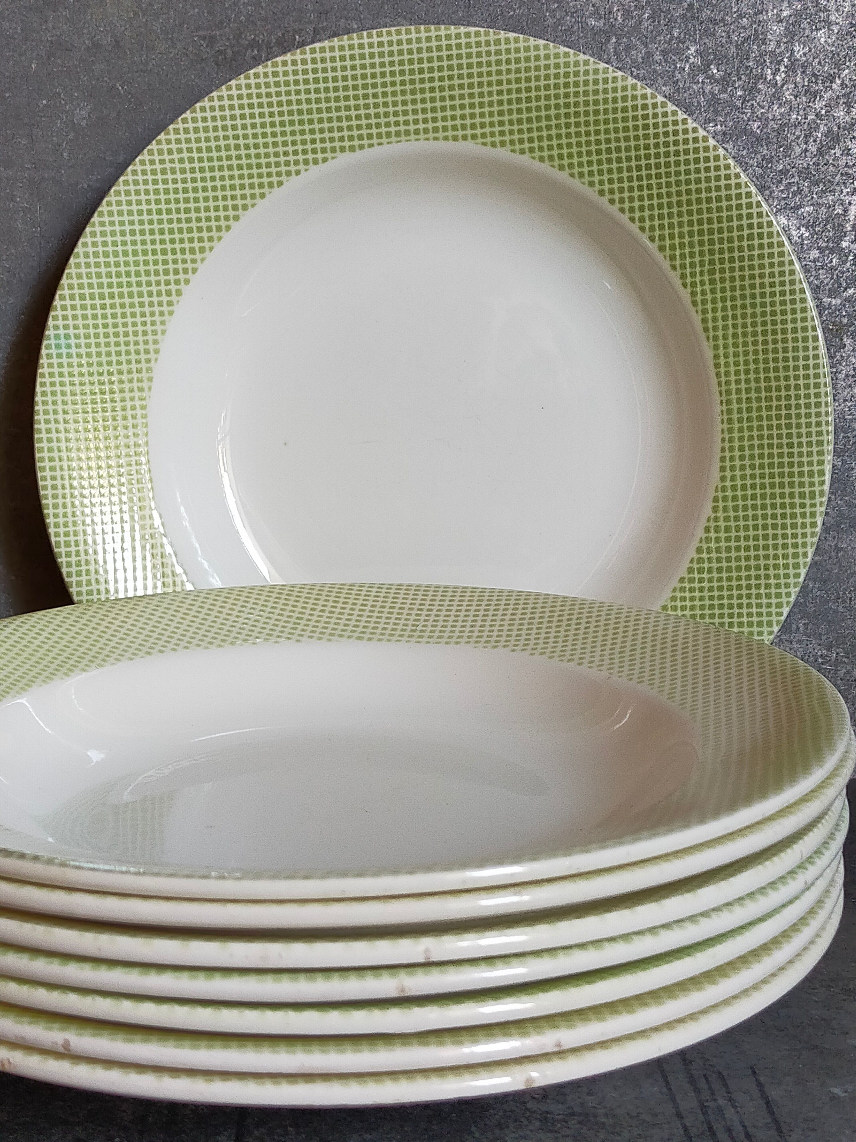 Eight earthenware plates from salins 50s