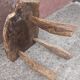Brutalist coffee table in solid wood, tripod. (Popular art)