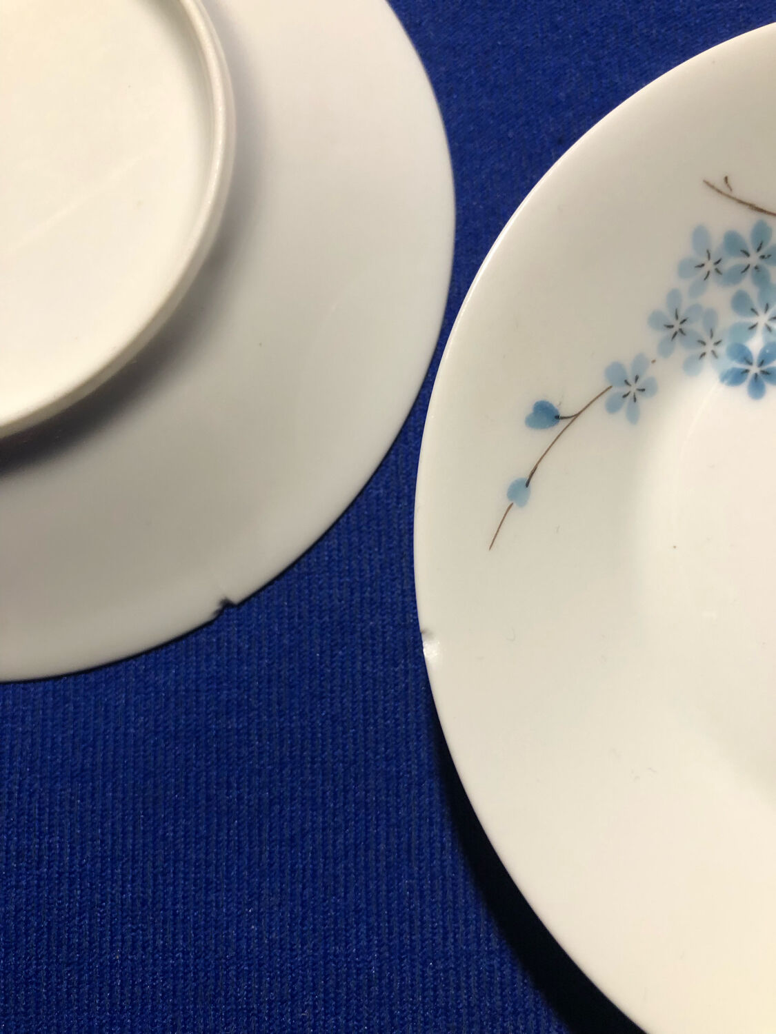 Former coffee service Myosotis porcelaine of Limoges