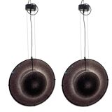 Set of 2 Vintage Mila Schön Murano Glass Pendant Lights, Italy, 1980s