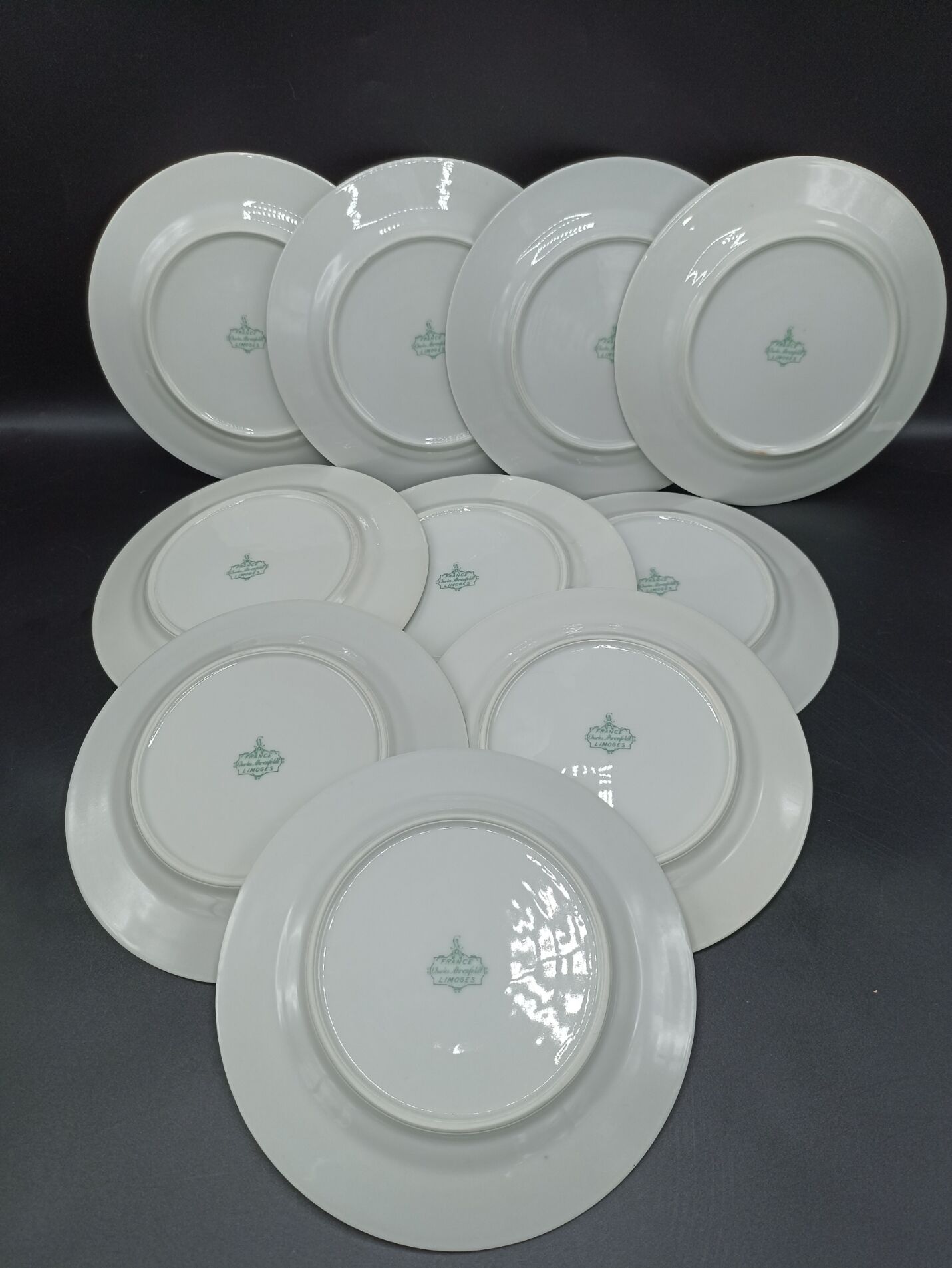 Set of 10 plates Ch. Ahrenfeldt Limoges