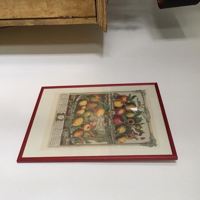 Ancient English botanical board of April 1732