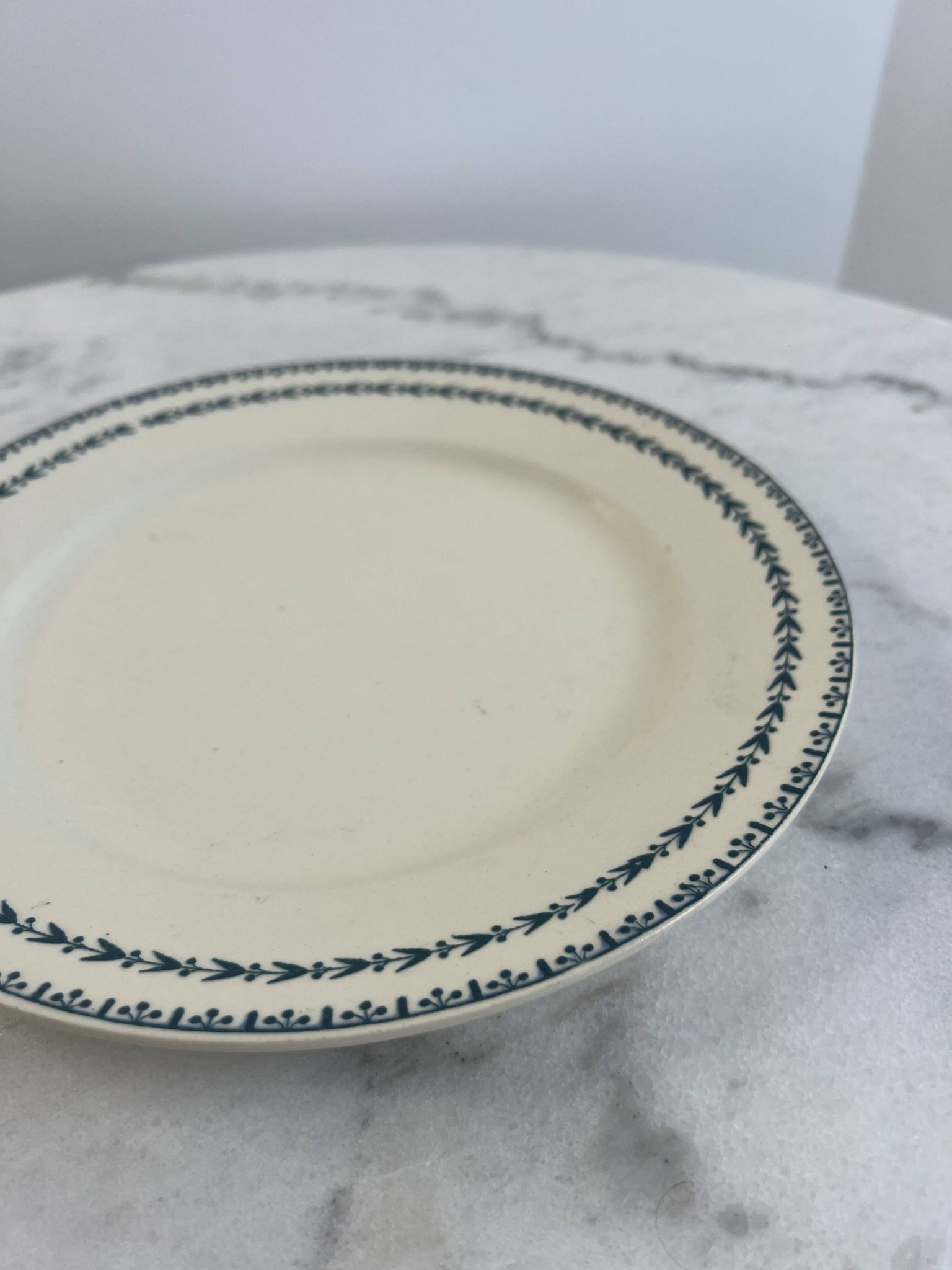 Terre de fer assiette plate Sarreguemines Carlos