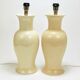 Paire de lampes de table Tommaso Barbi Riviera palmier années 1970 avec coussins assortis
