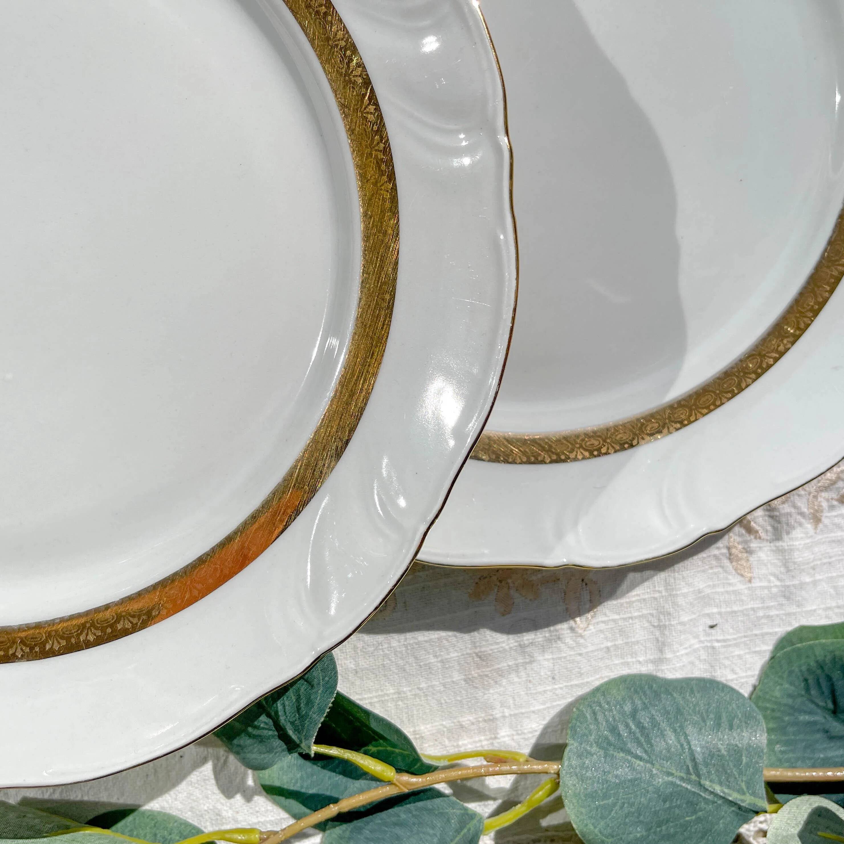 6 Vintage White and Gold Porcelain Dinner Plates Limoge France ADP "Ariane" - Elegant Antique French Tableware