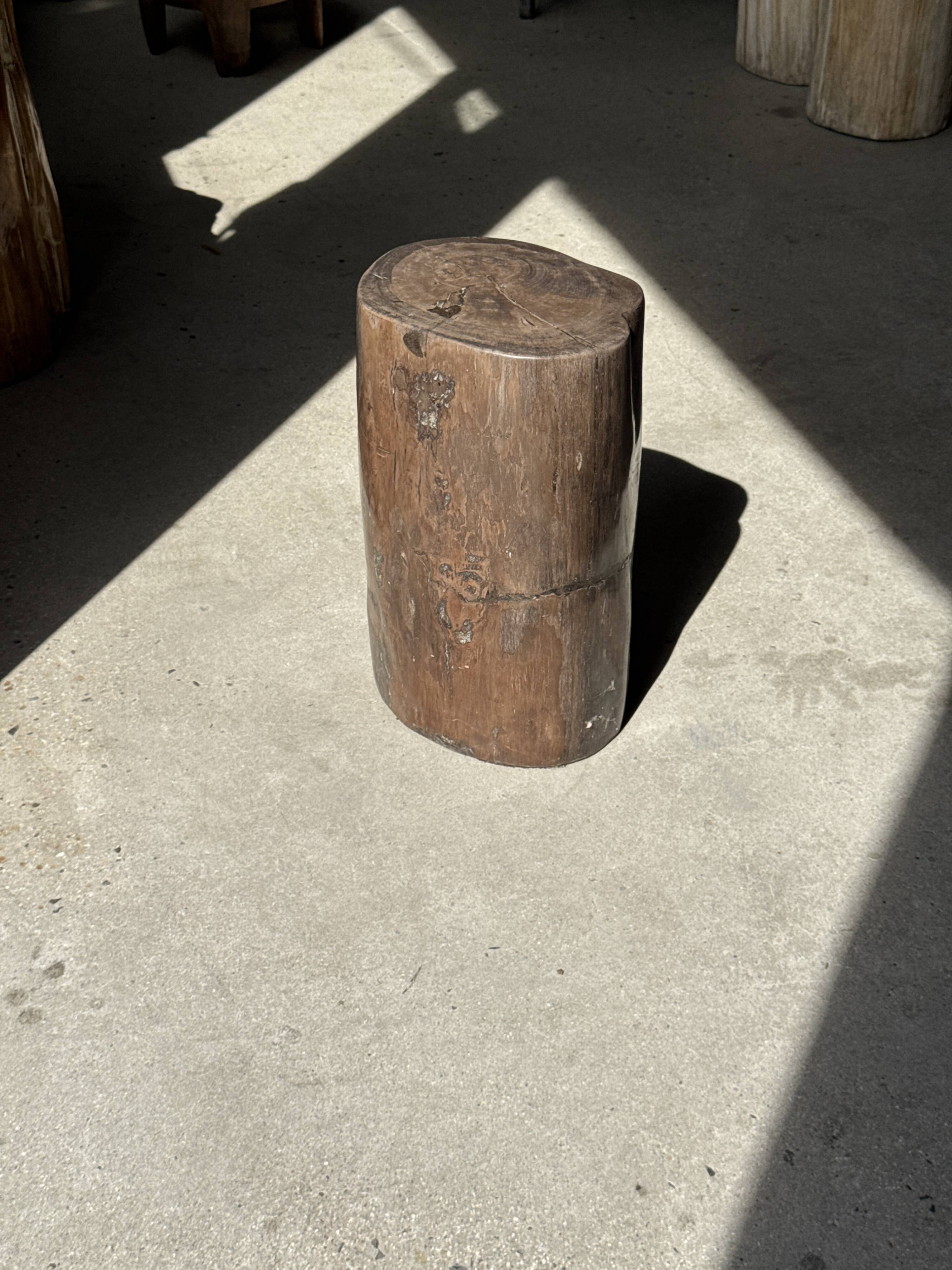 Table d'appoint en bois pétrifié brune H46 D29 - 3338