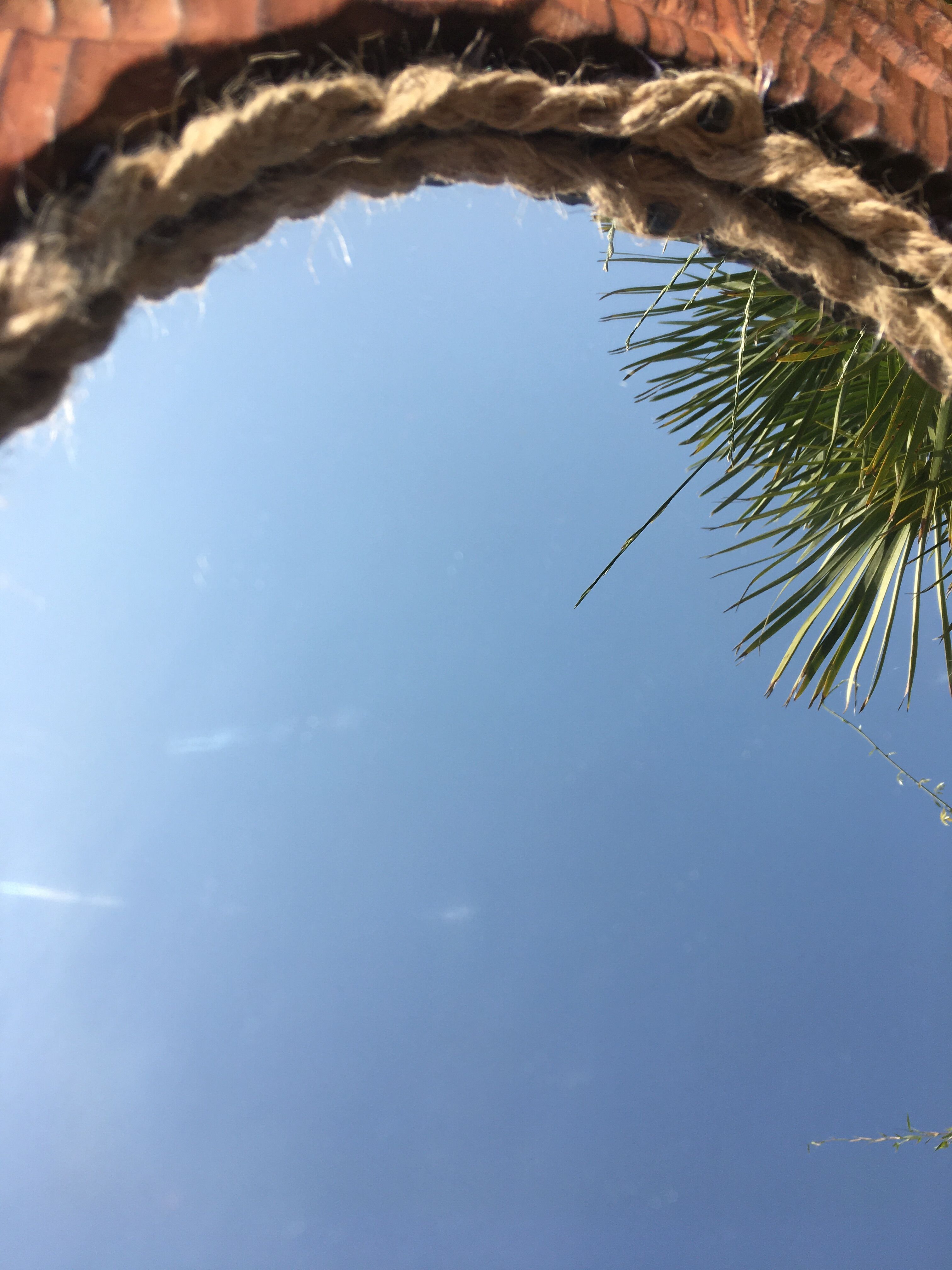 Brutalist mirror fish