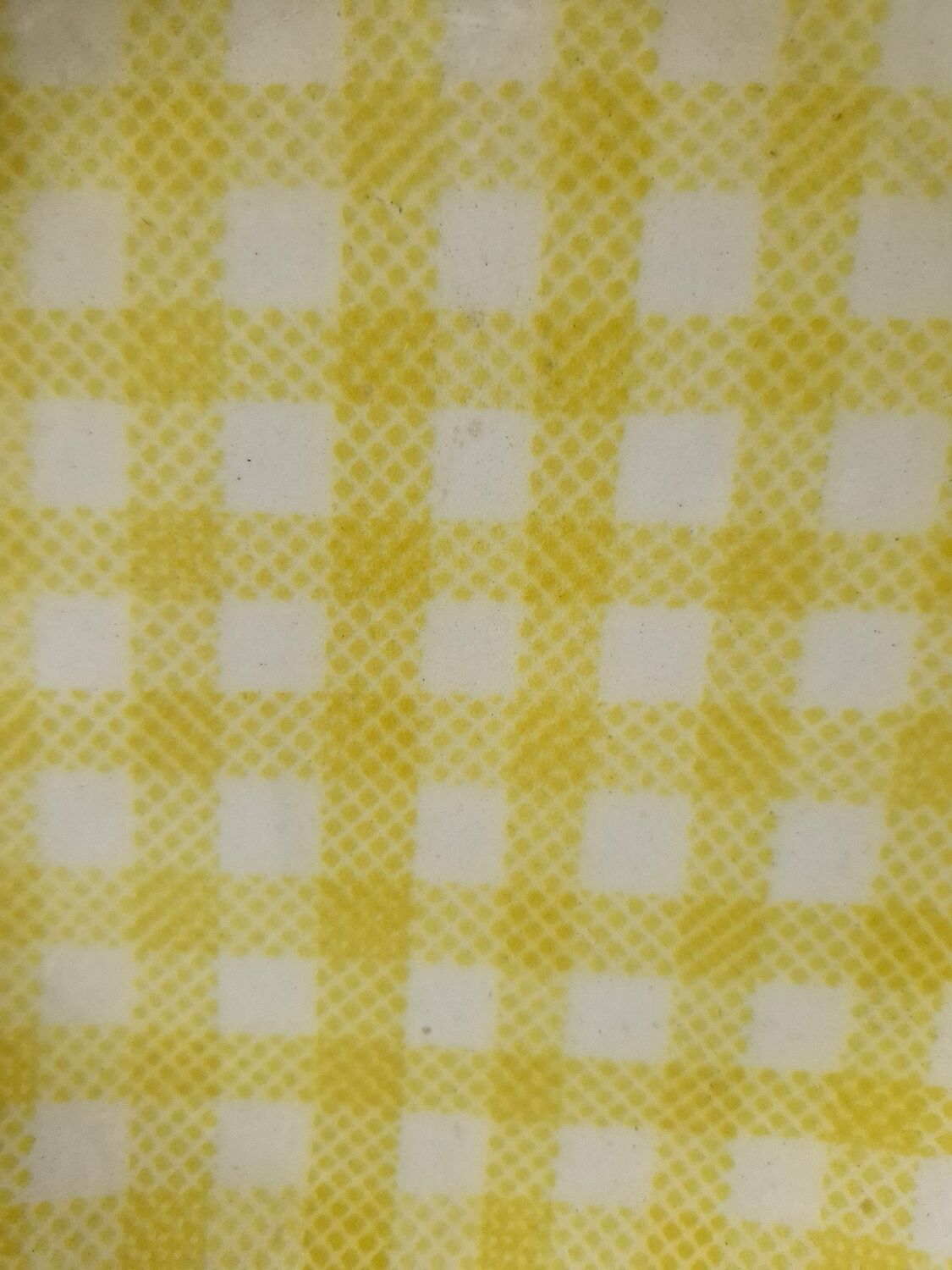 Dessert plate Salins model Raphaël 1950s