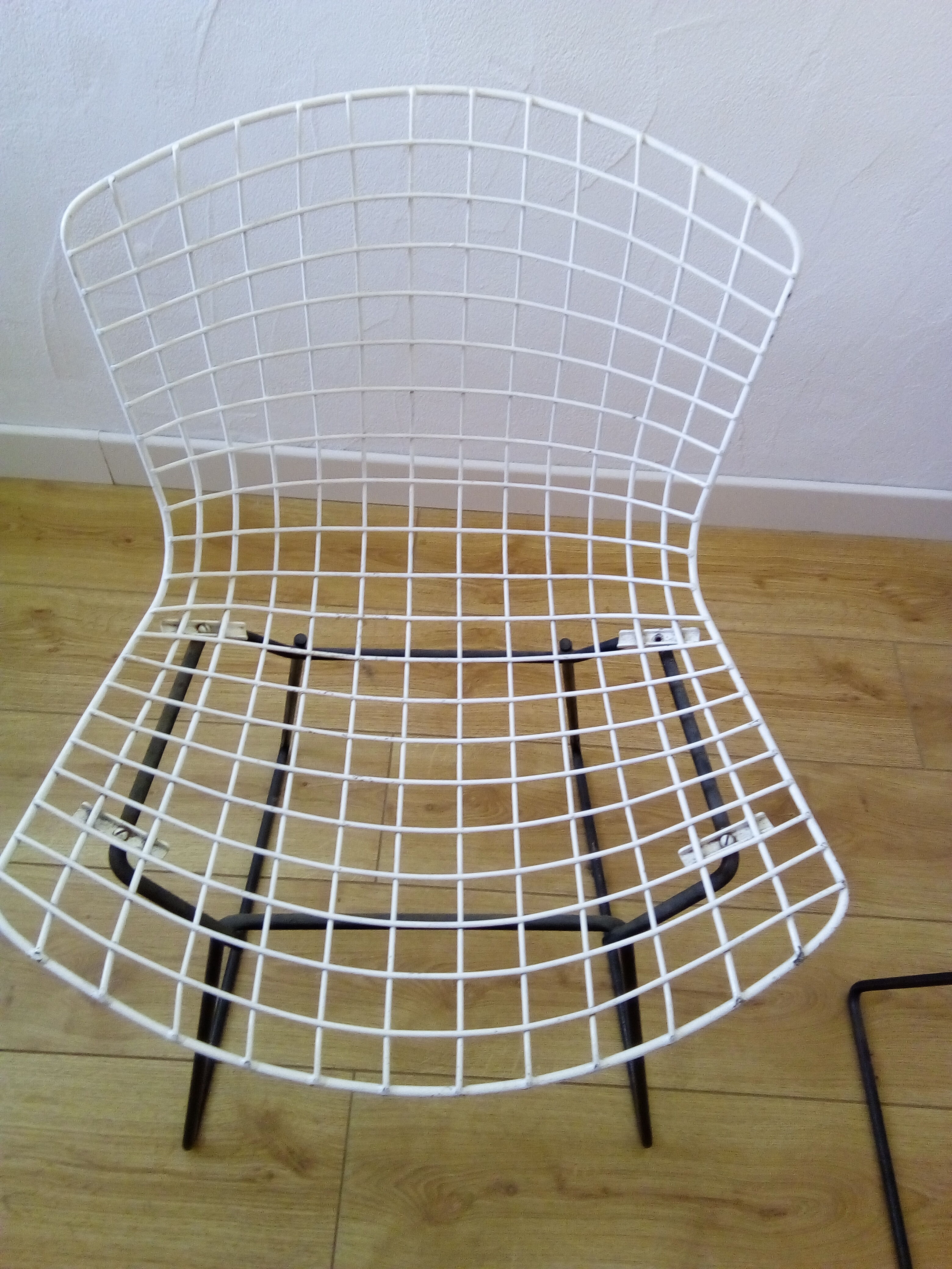 Harry Bertoia 50s chairs