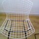 Chaises Harry Bertoia années 50