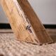 Solid wood farmhouse table