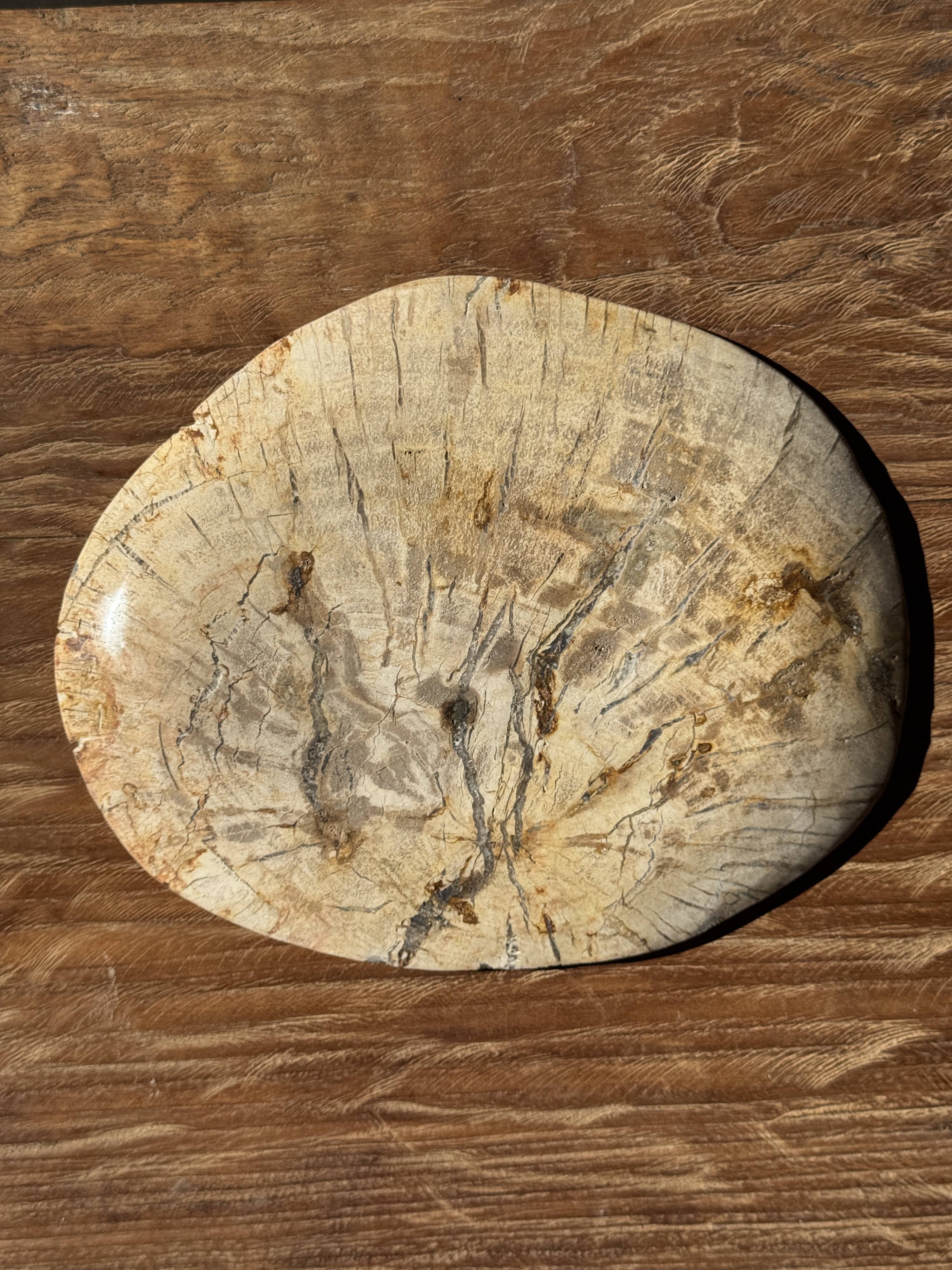 Small beige oval petrified wood dish or tray with crystals.