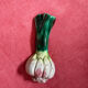 Porte couteaux légumes