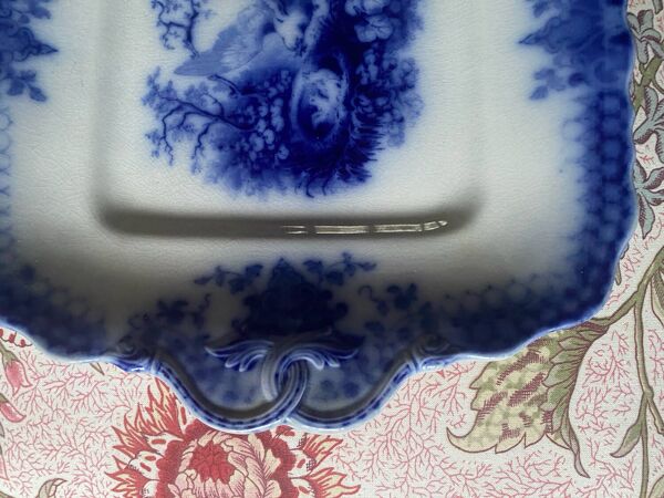 Plat carré Villeroy et Boch XIX modèle India