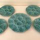Dish and 4 turquoise faience oyster plates from Gien, France.