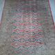 Handmade Pakistani carpet