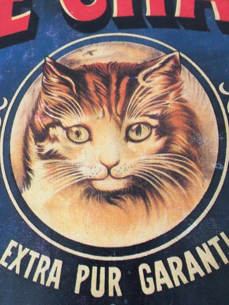 Reproduction of the "Soap the Cat" poster