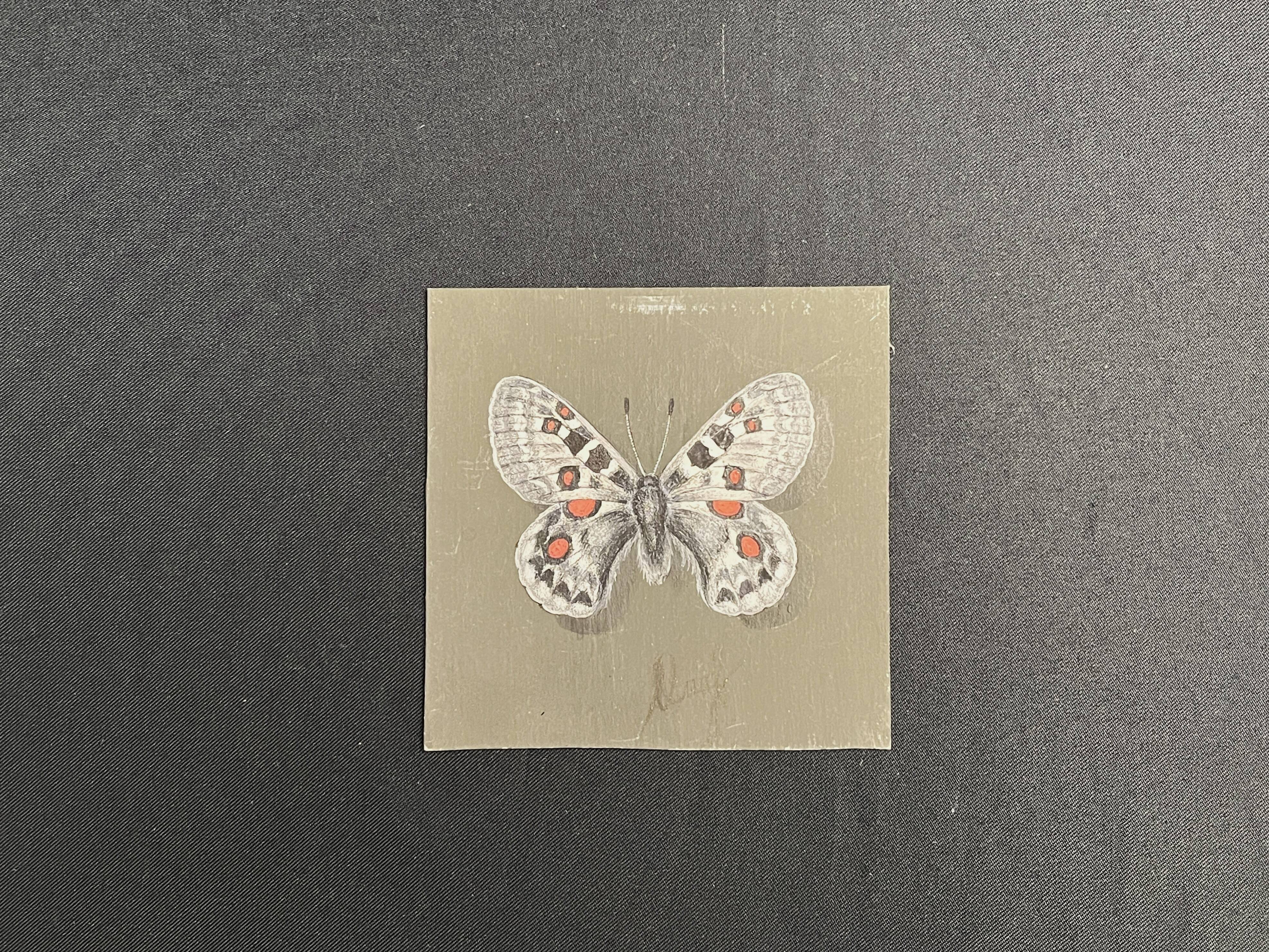 Pastel, butterfly drawing signed, 20th century frame