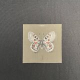 Pastel, butterfly drawing signed, 20th century frame