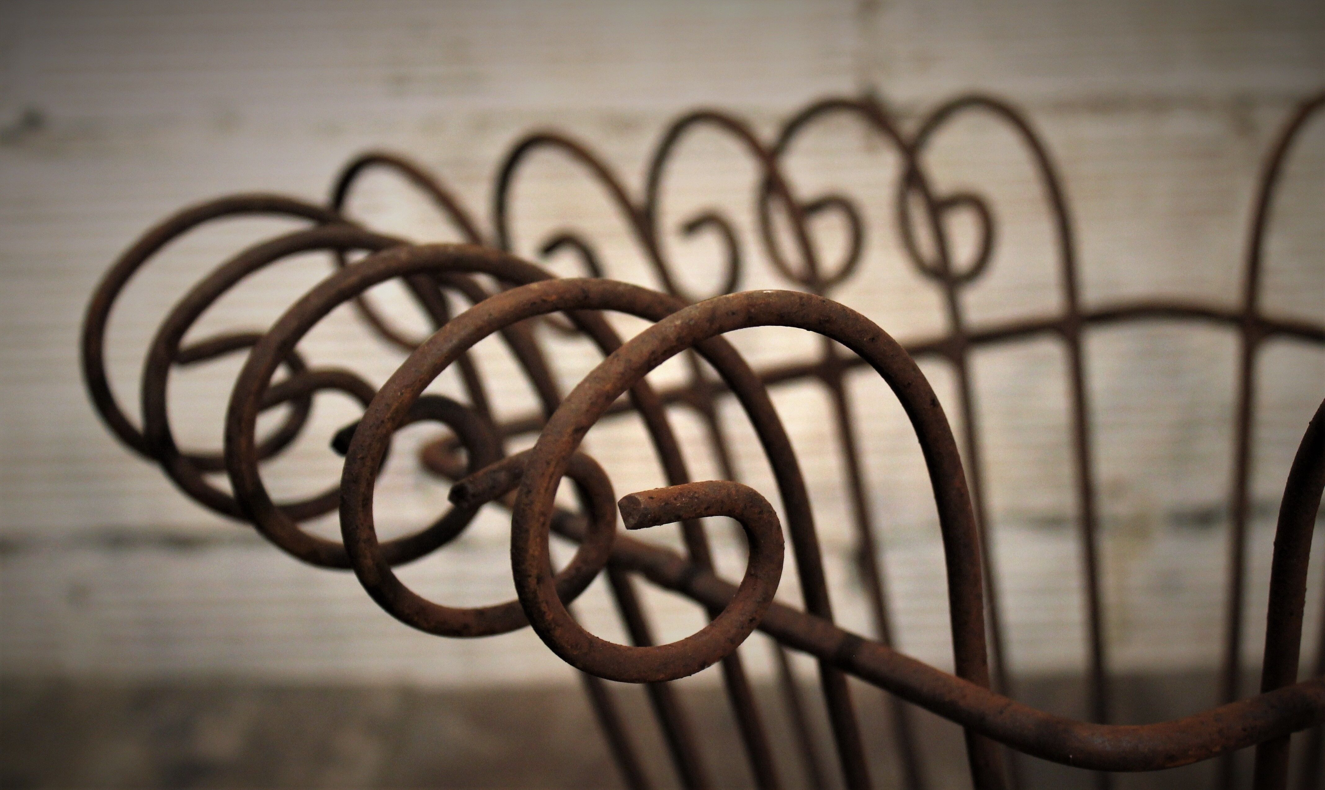 Planter door plant wrought iron 1950s