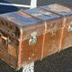 Trunk 100cm