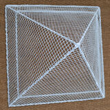 Large bird cage