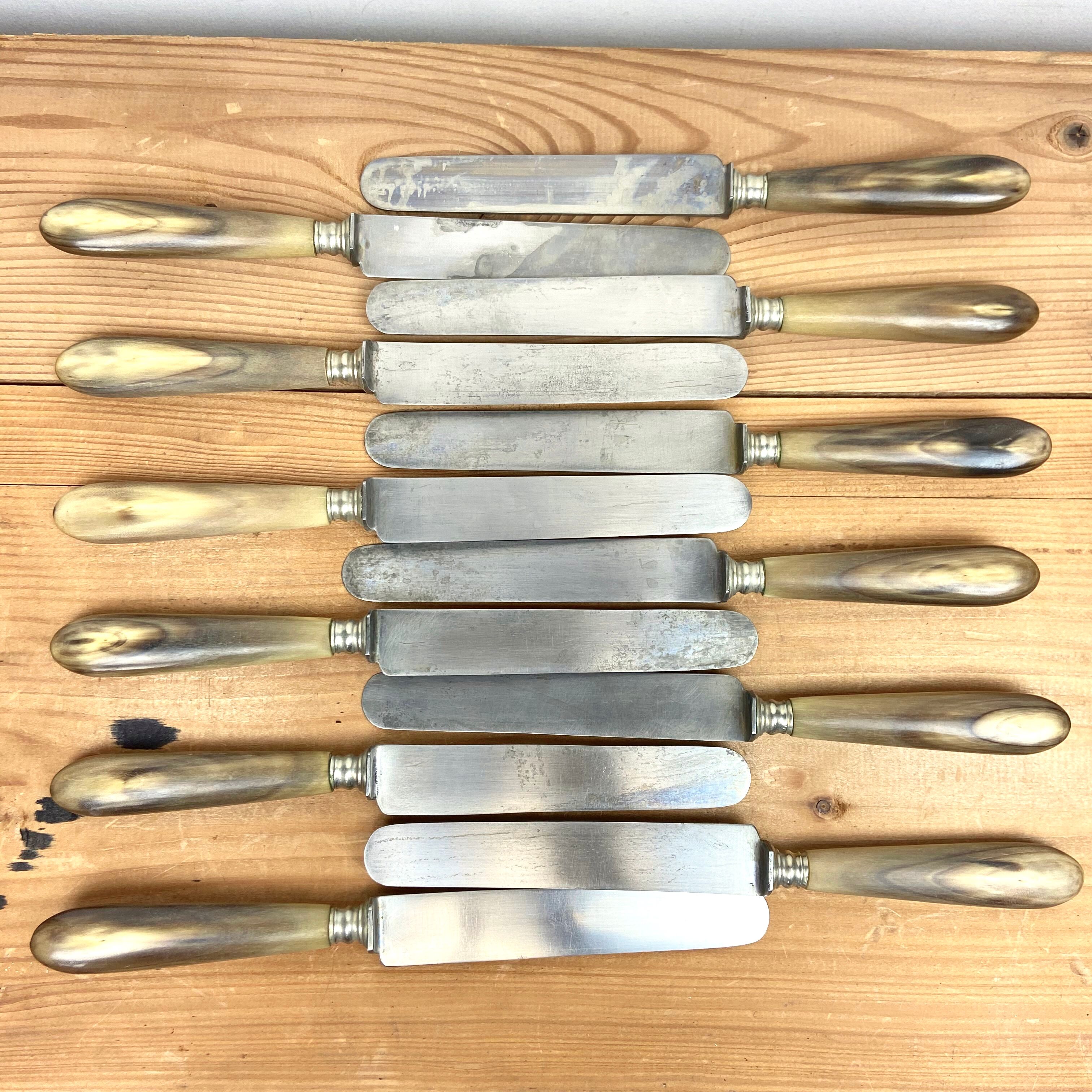 Service Of 12 Table Knives - Blonde Horn Handle