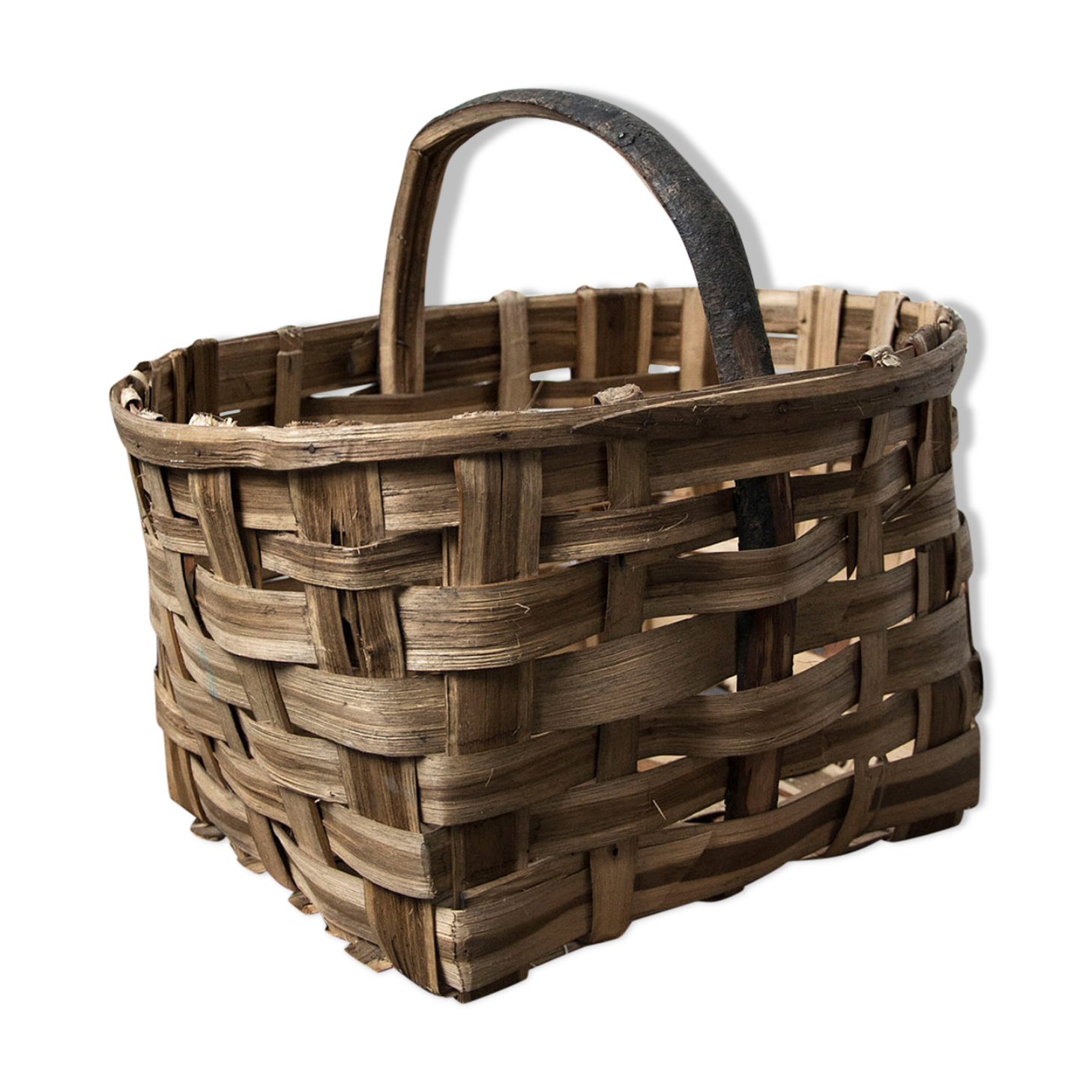 Panier à champignon en osier tressé