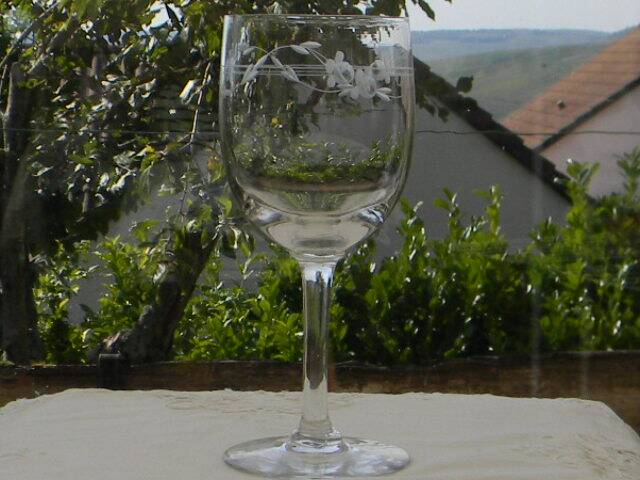 Set of 8 antique glass water glasses. Engraved floral border