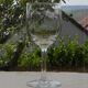 Set of 8 antique glass water glasses. Engraved floral border