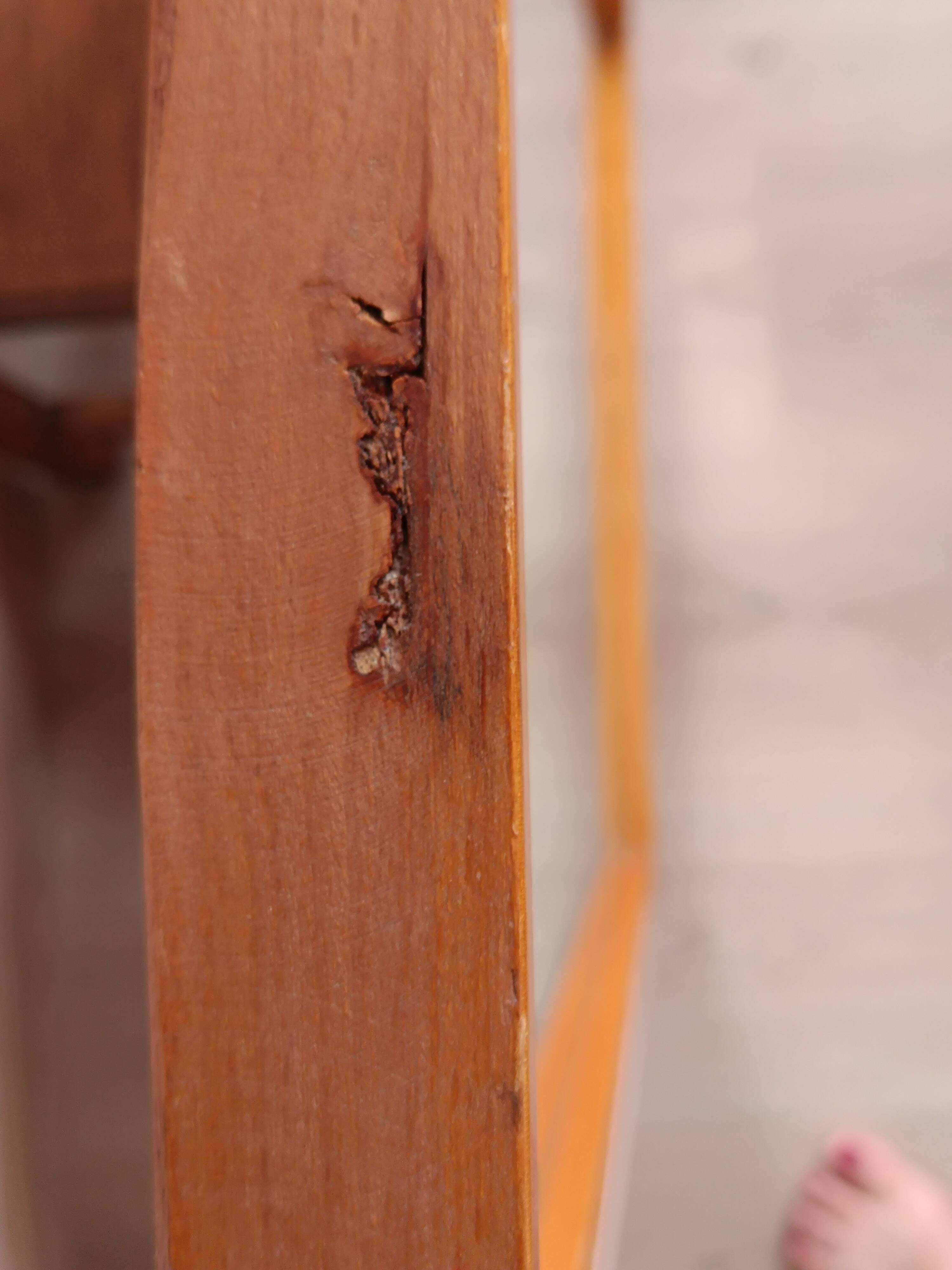 Beveled glass wall mirror in solid wood frame