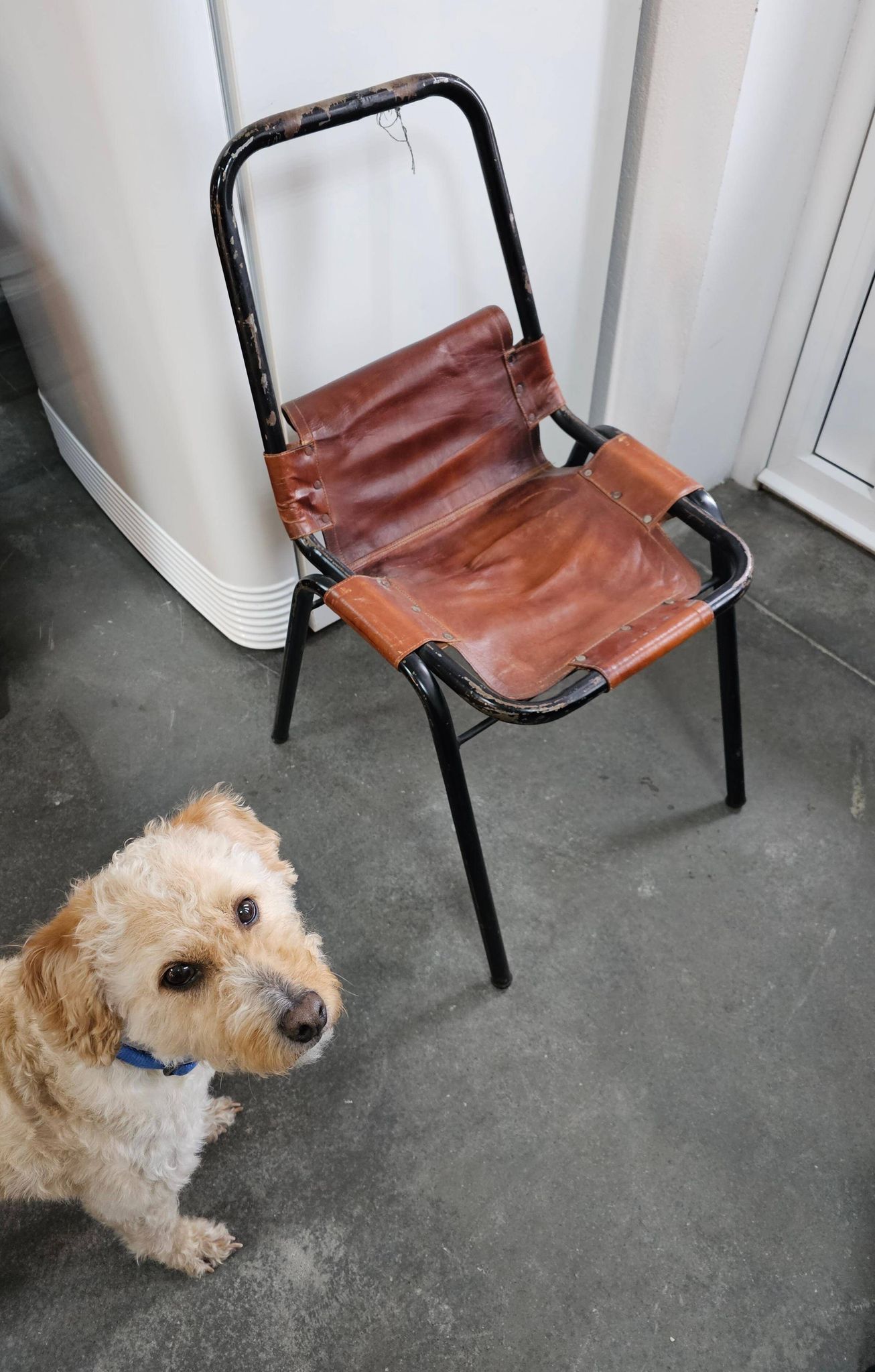 Set of 3 leather Bauhaus chairs by DalVera, Charlotte Perriand style, 1950.