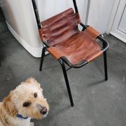 Set of 3 leather Bauhaus chairs by DalVera, Charlotte Perriand style, 1950.