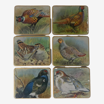 Bird coasters