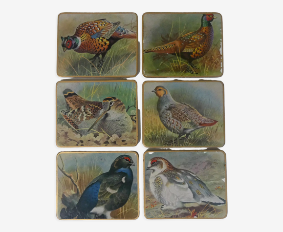 Dessous de verres aux oiseaux