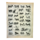 Gravure ancienne 1898, Bœuf, vache, taureau, veau • Lithographie, illustration originale