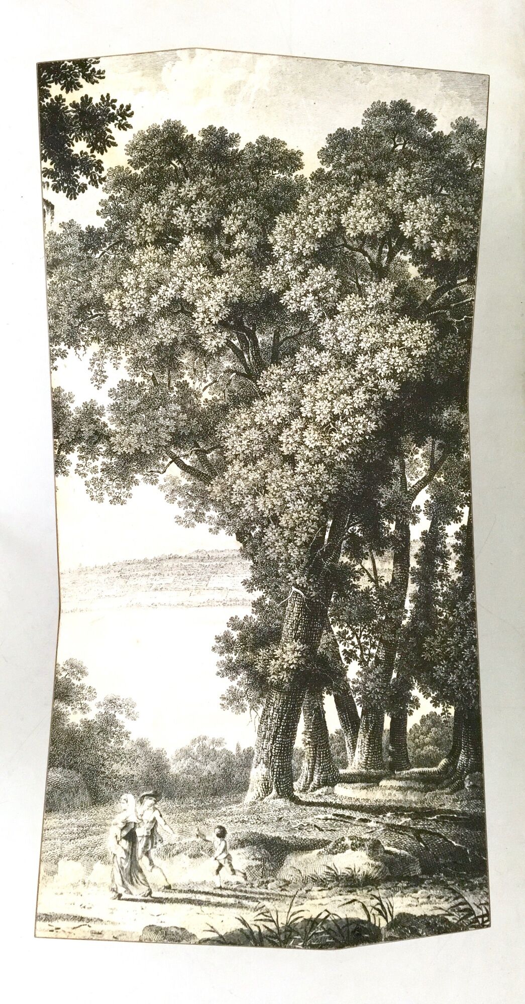 "transepoca" wooden coffee table by carmelo la gaipa, italy 2018