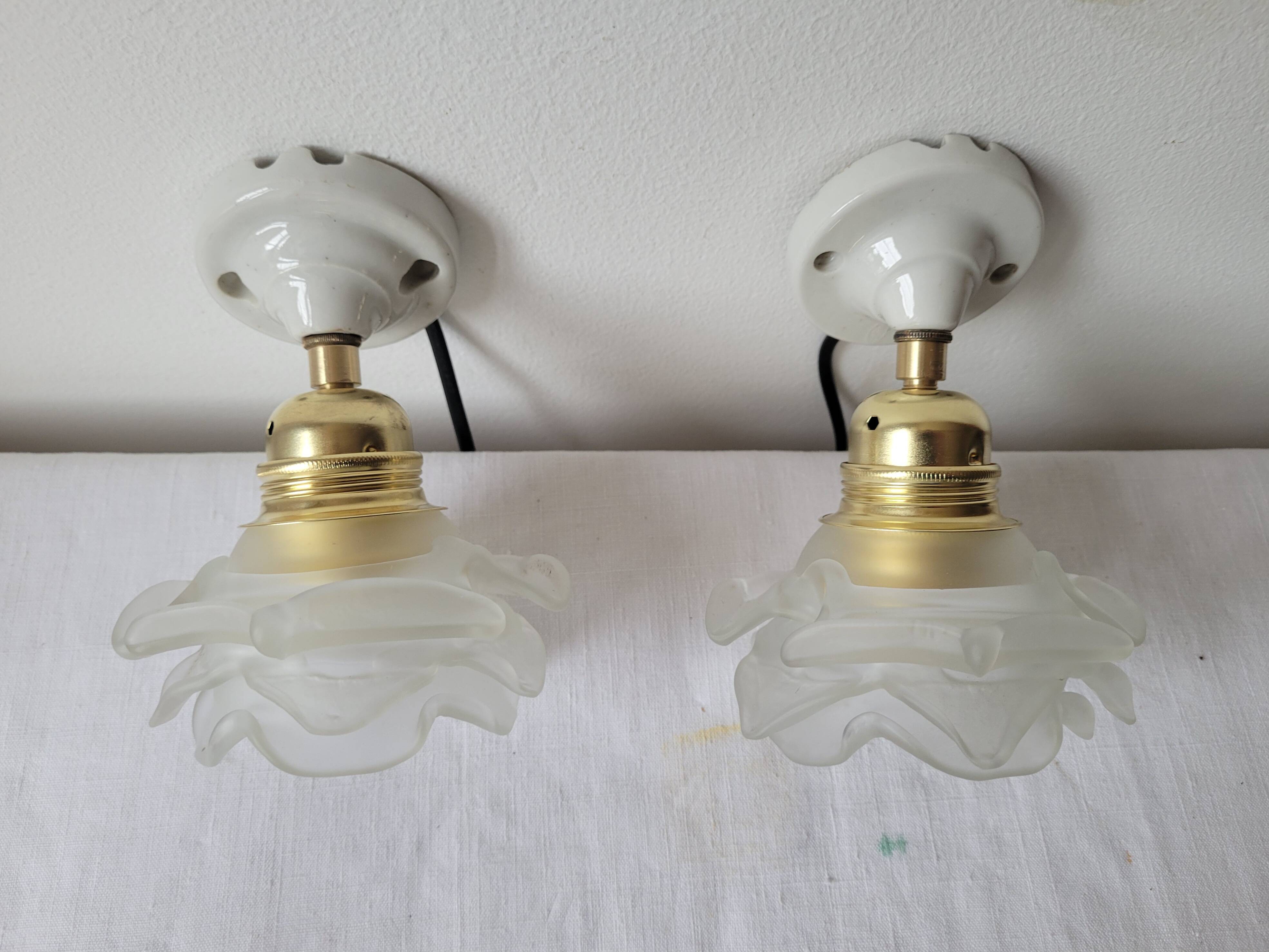 Duo of glass and porcelain flower wall lights