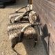 Ensemble de 2 fauteuils ethniques en cornes de buffles