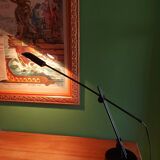 Large articulated lamp (Italian) from the 80's Veneta Lumi , Alaska model